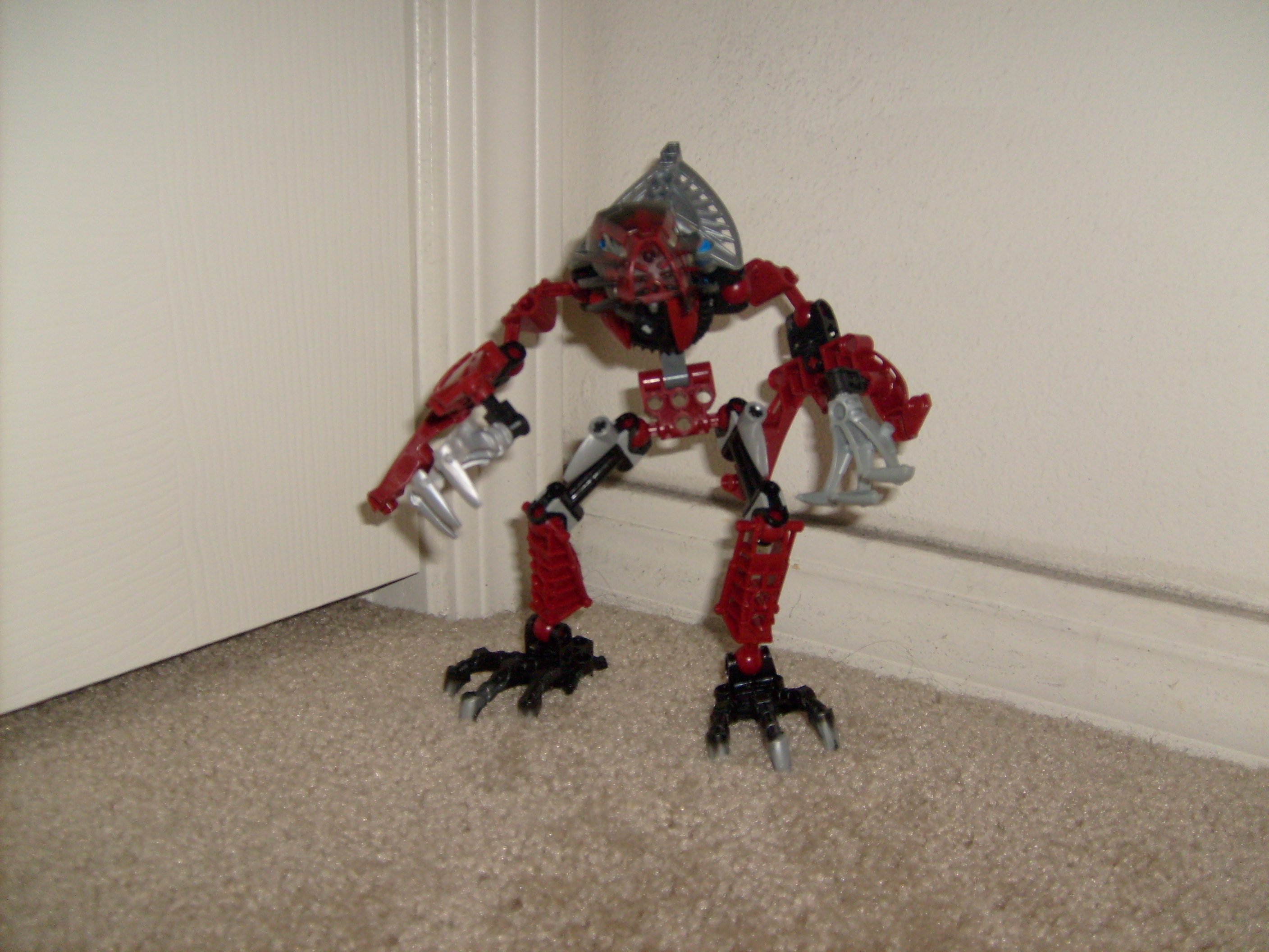 s6301777.jpg