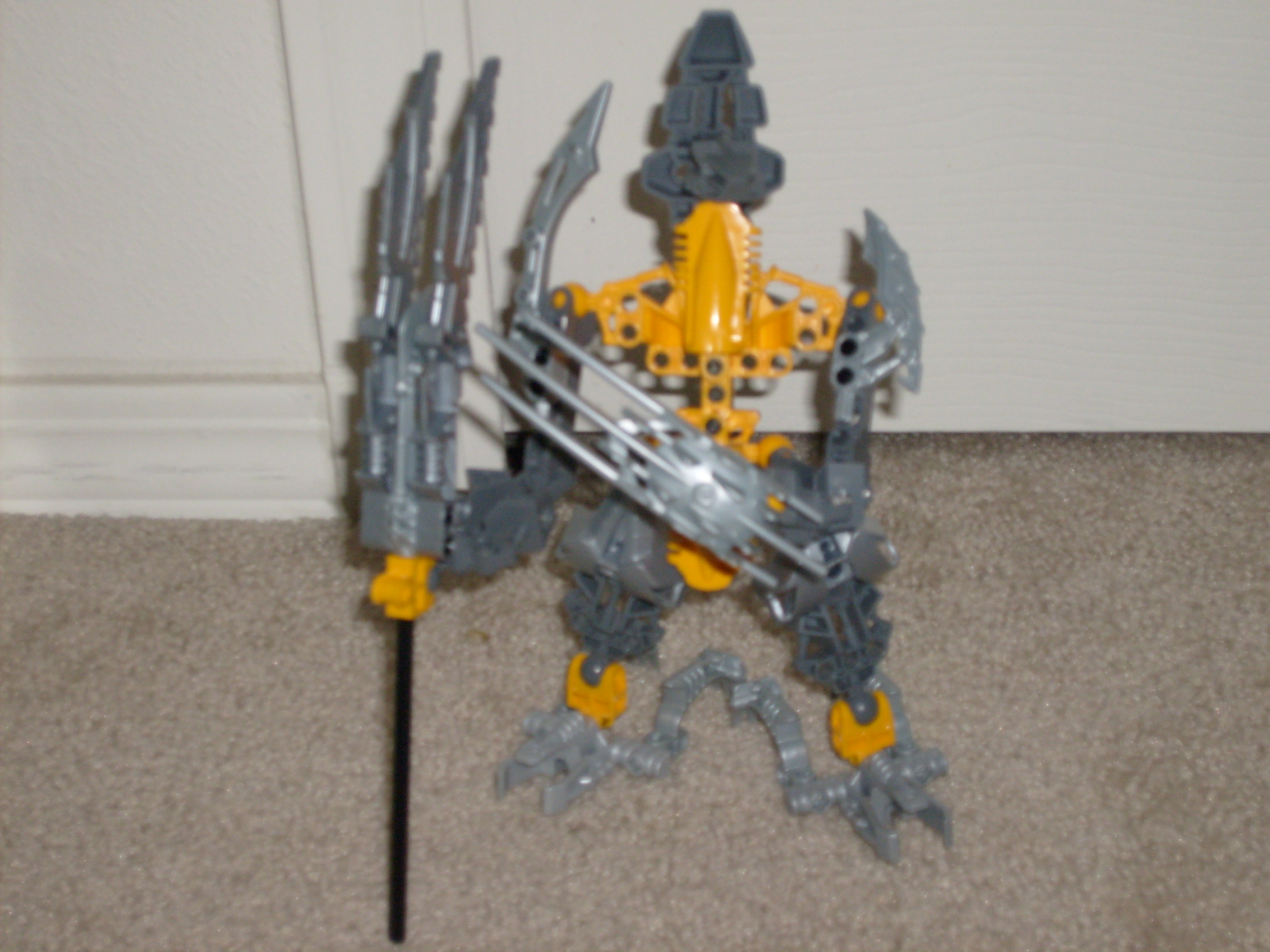 s6301613.jpg