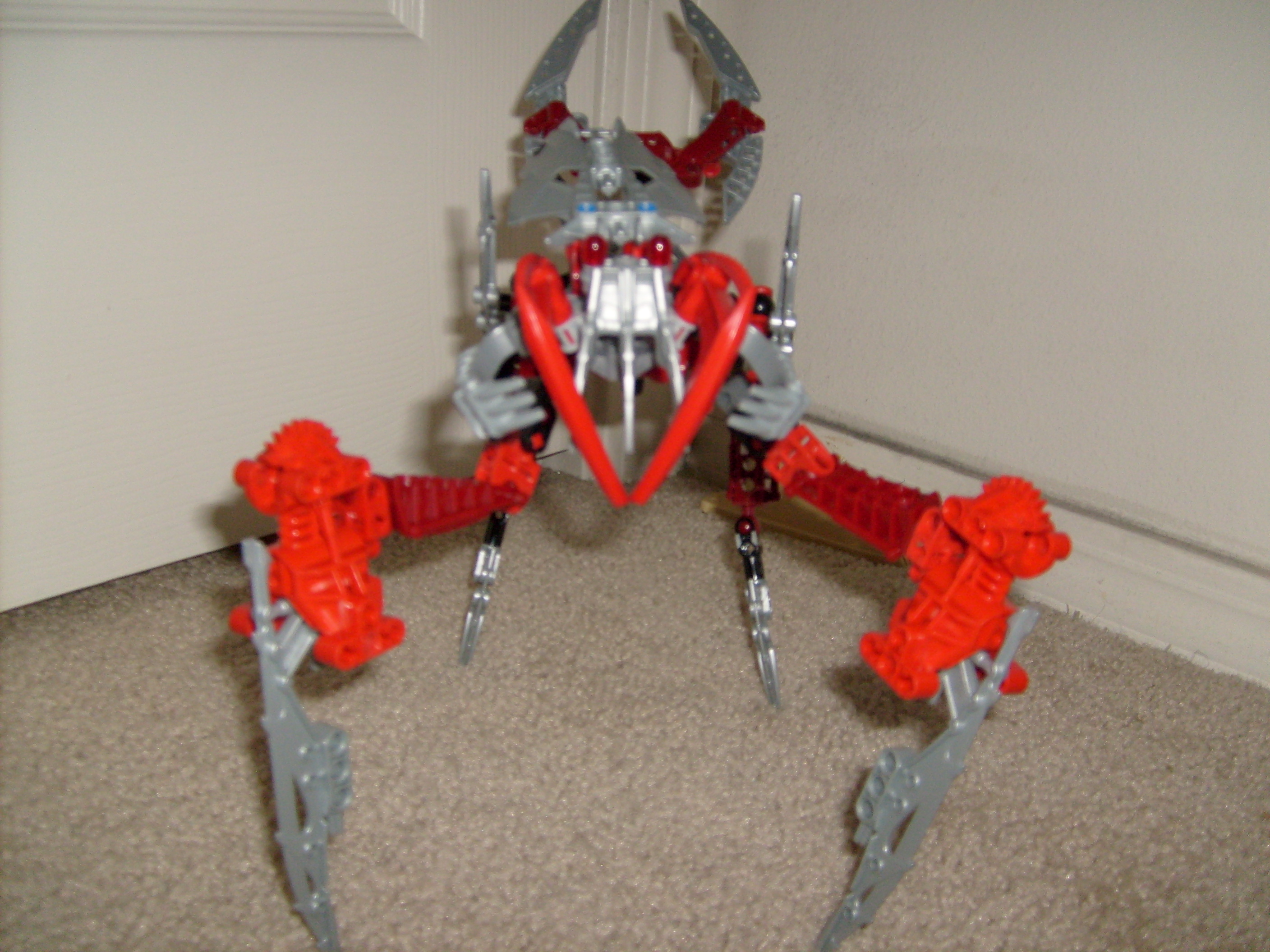 s6302025.jpg