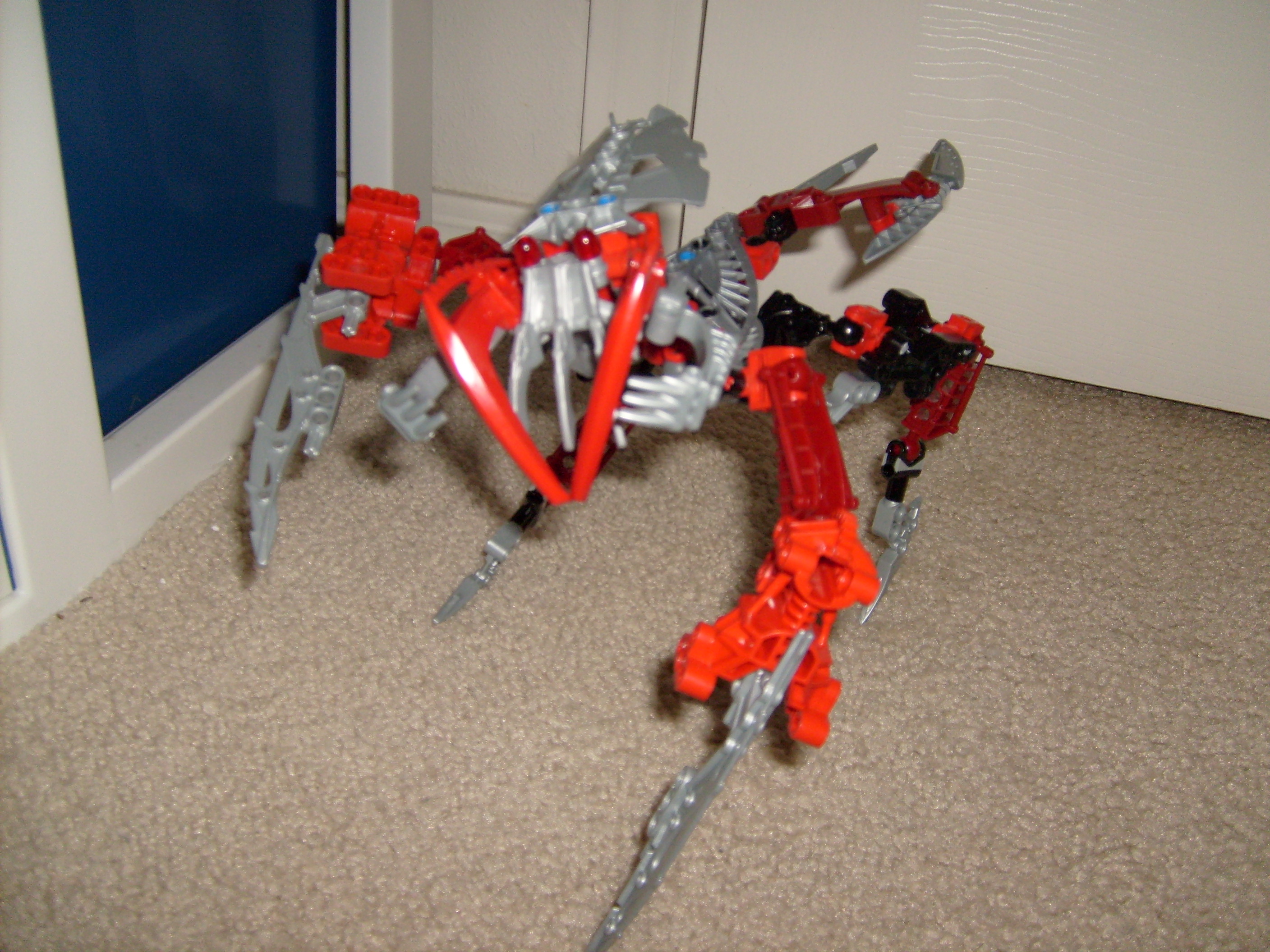 s6302028.jpg