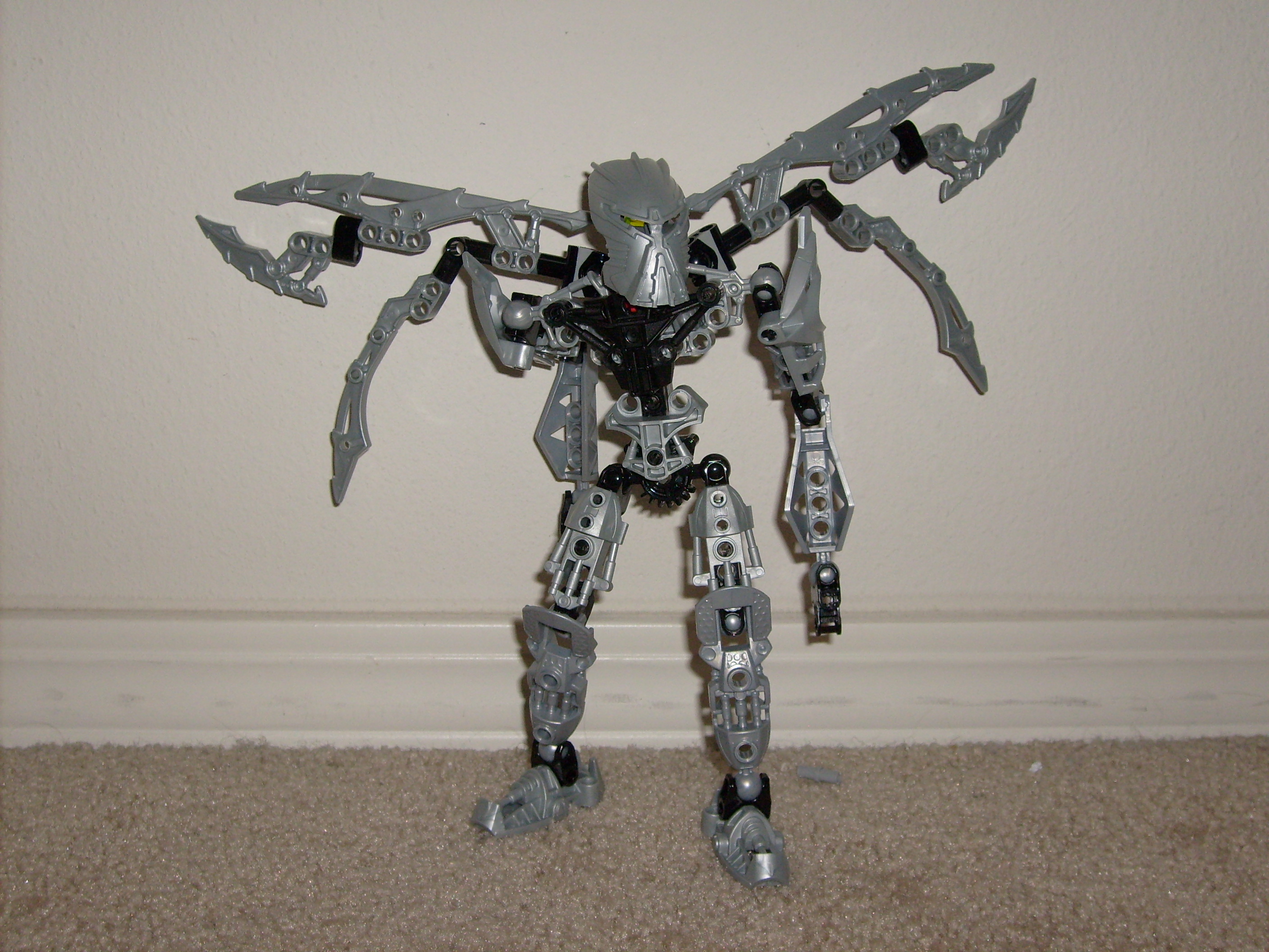 s6302265.jpg
