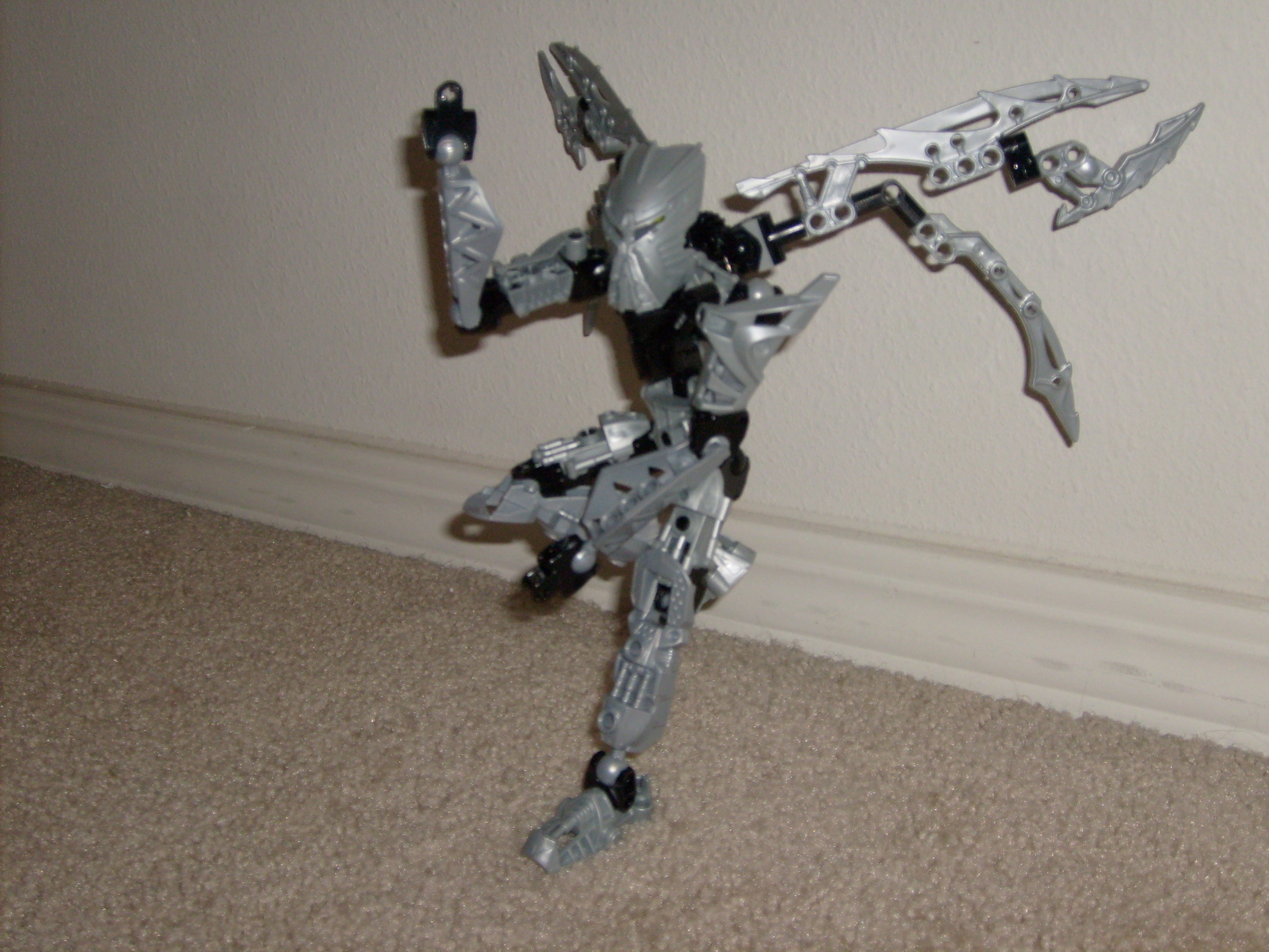 s6302266.jpg