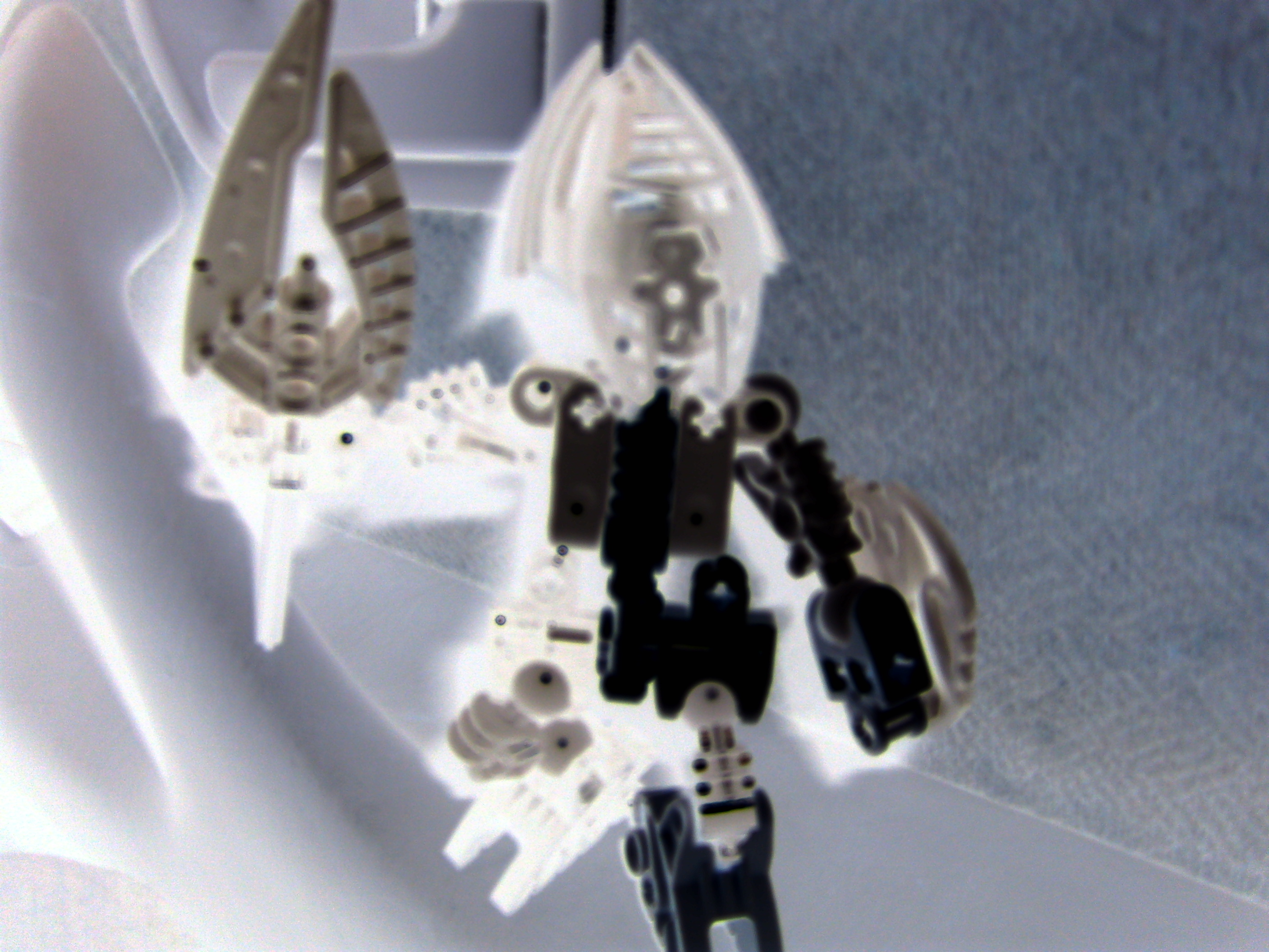 s6301137.jpg