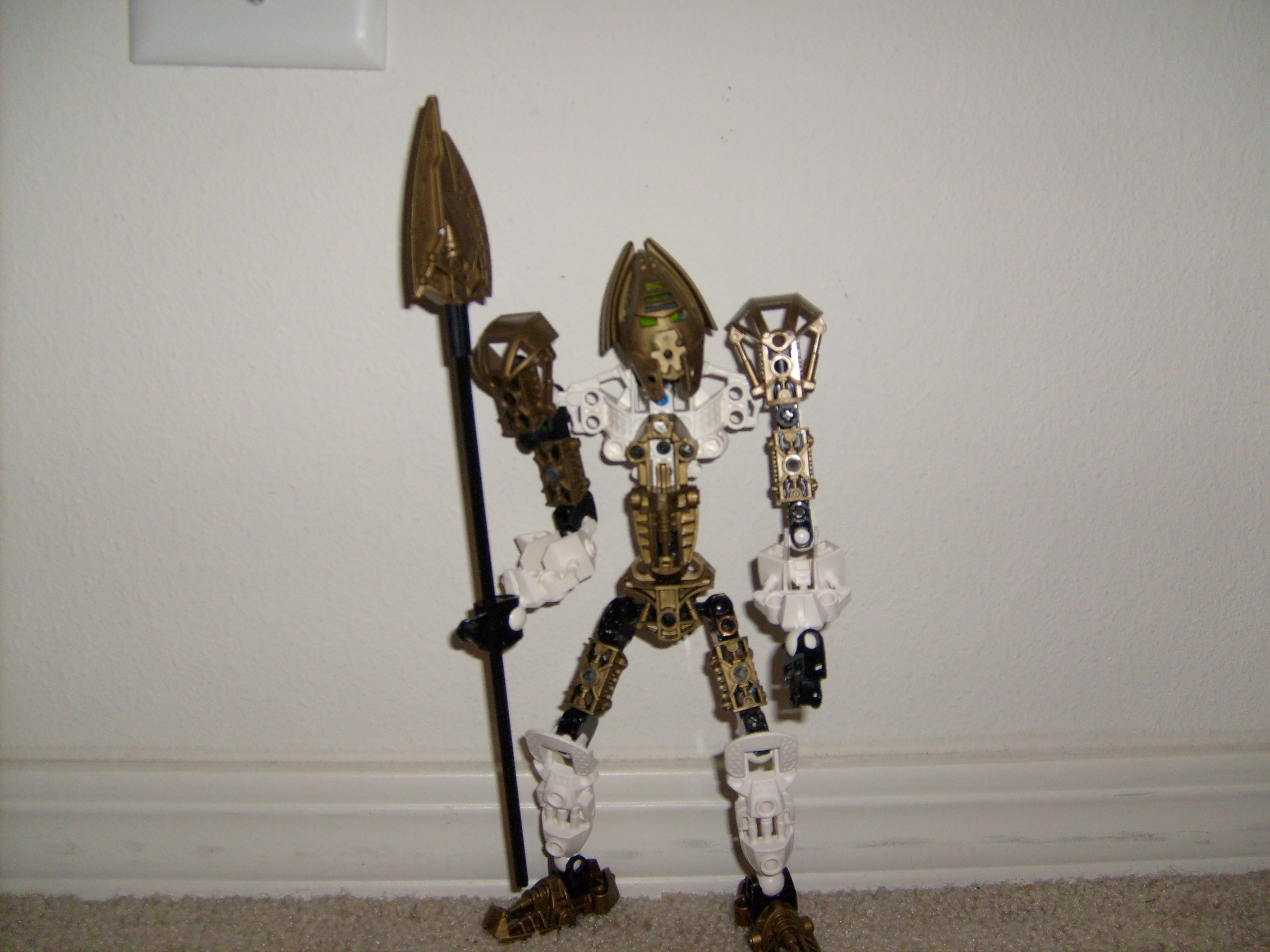 s6302010.jpg