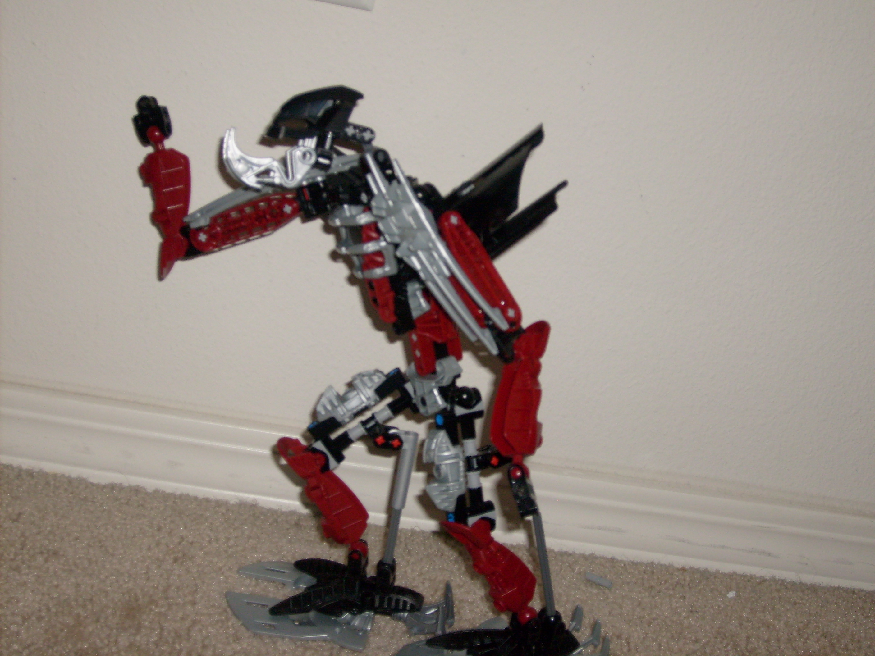 s6302254.jpg