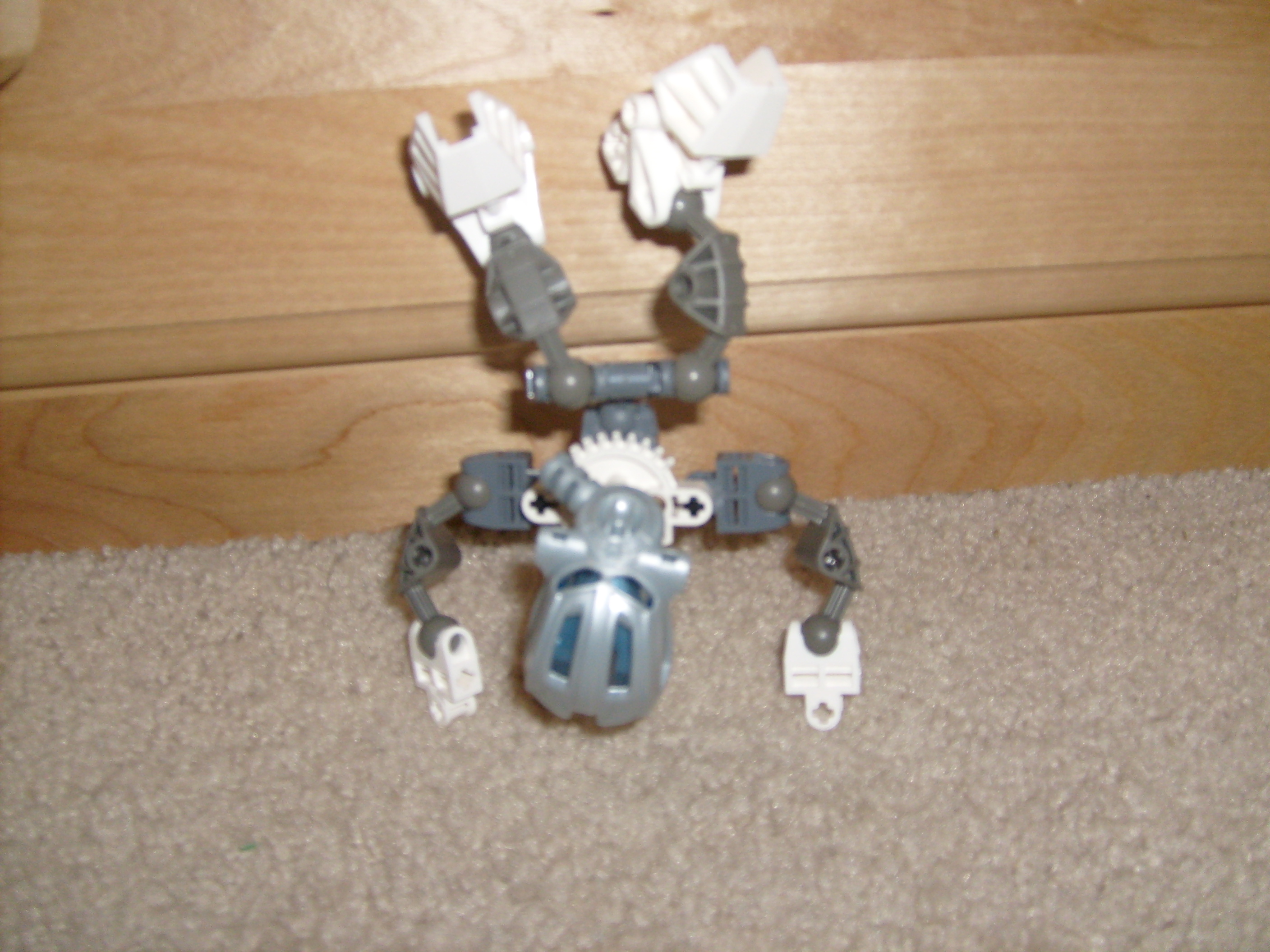 s6301566.jpg