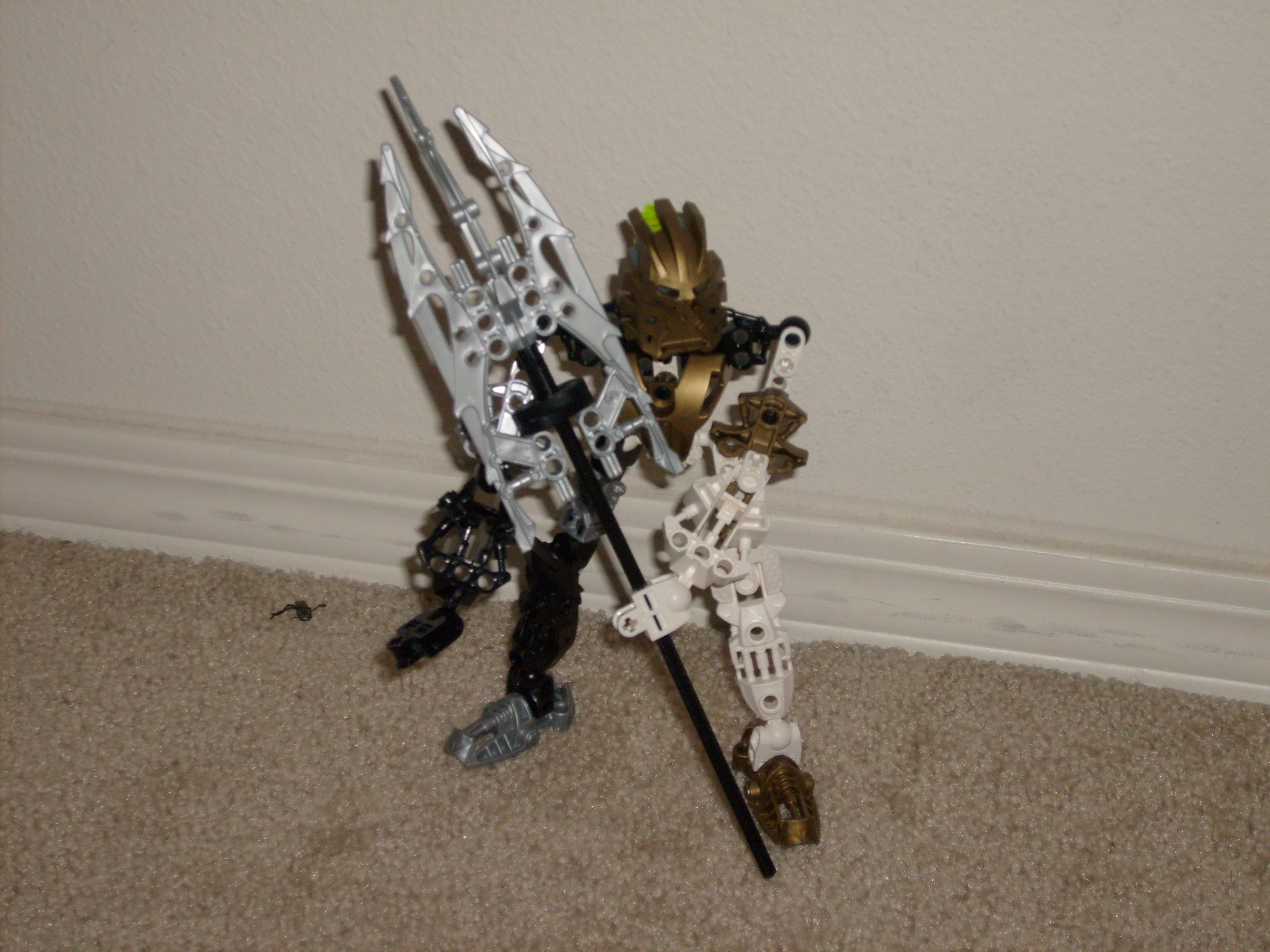 s6301407.jpg