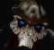 tassadar_sc1_headanim1.gif