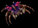 starcraft-guardian.gif