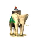 elephant_rider.bmp