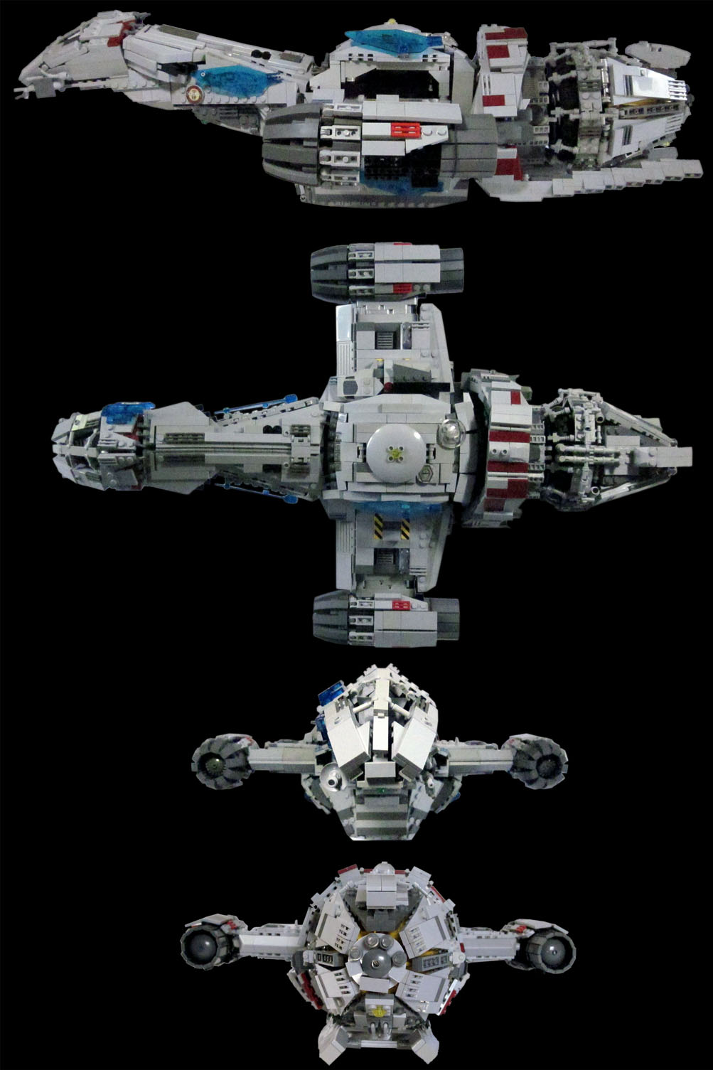 01_firefly-profile.jpg