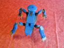 scarab