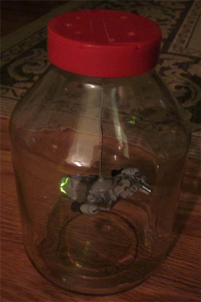 fireflyinajar.jpg