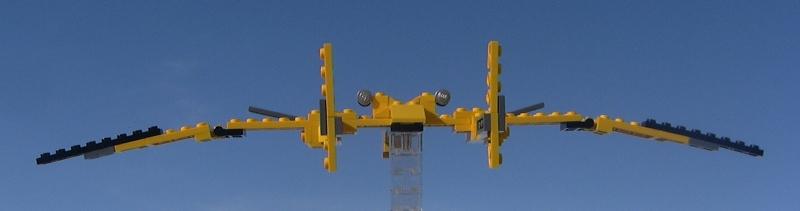 4939_-_proteus_-_11.jpg