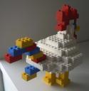 rooster_-_07.jpg