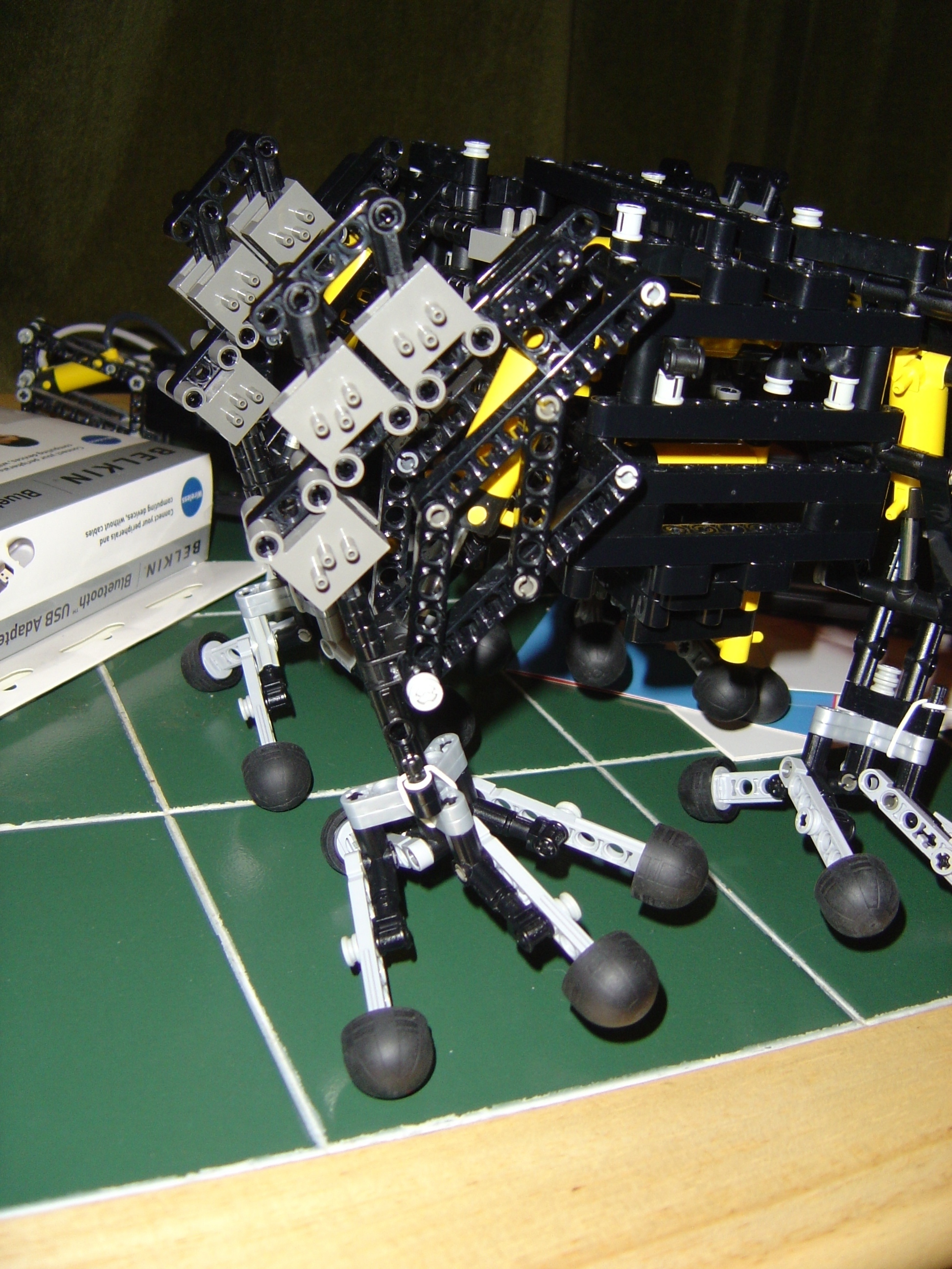 dsc00094.jpg
