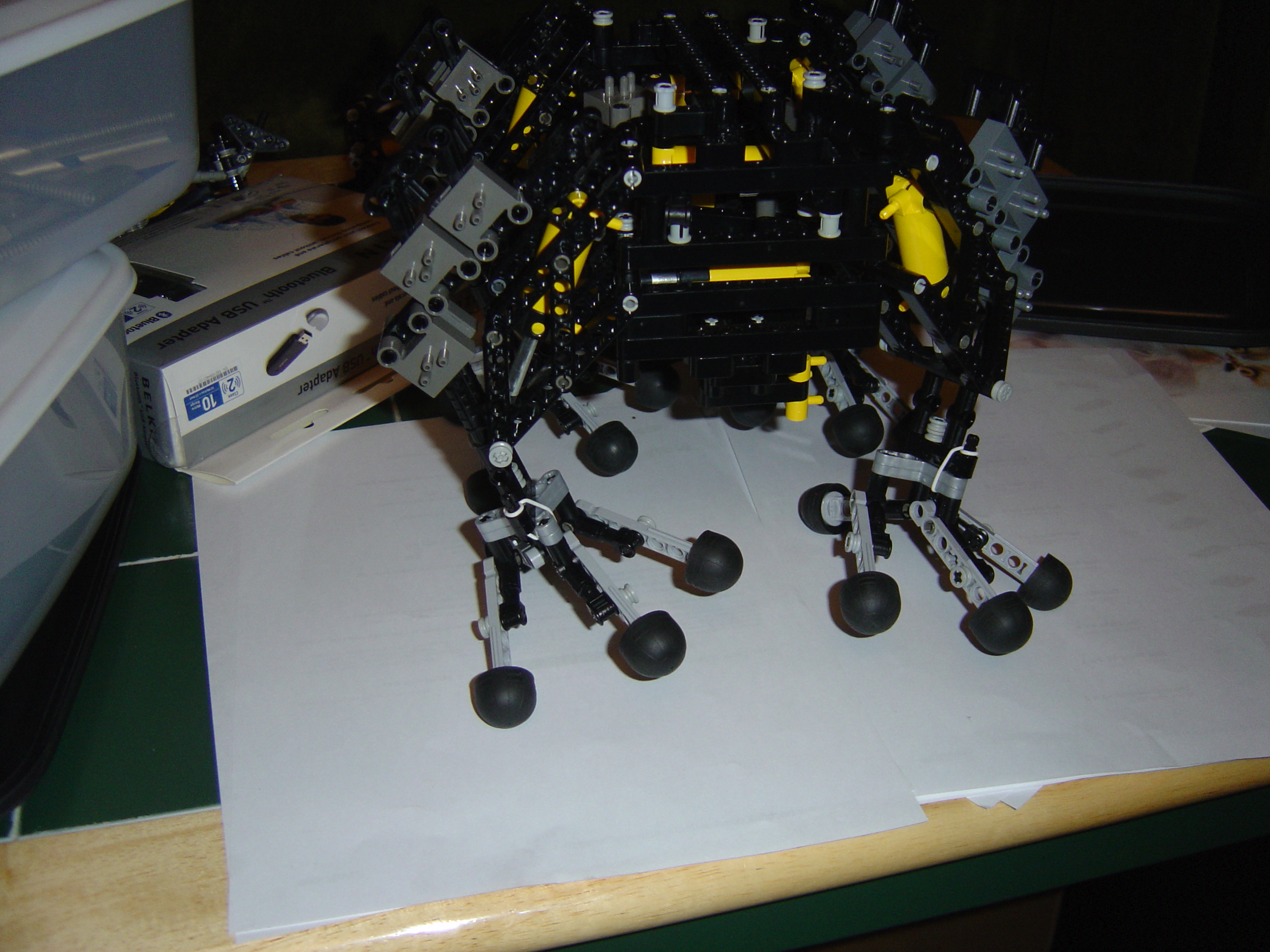 dsc00095.jpg