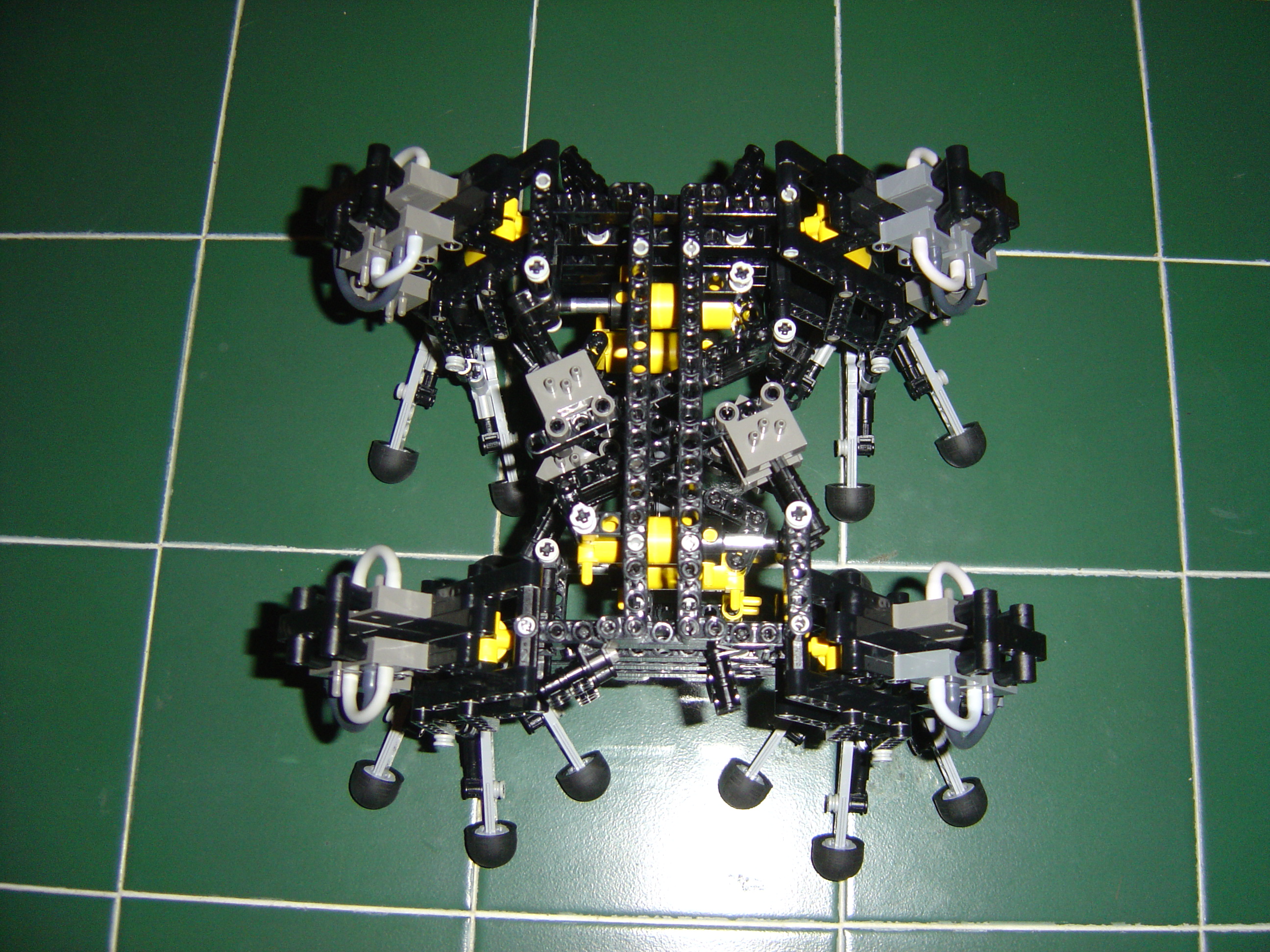 dsc00107.jpg