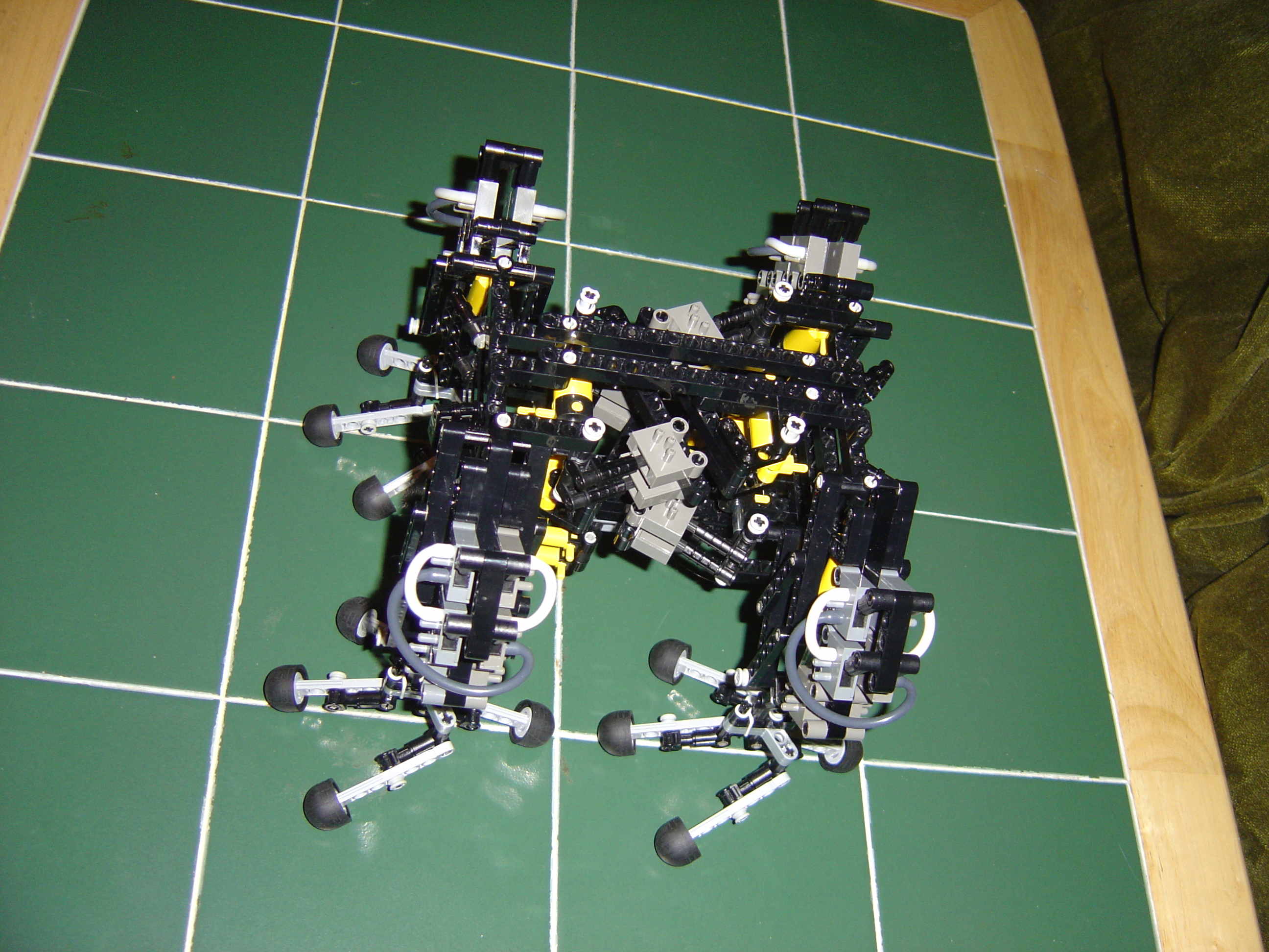 dsc00110.jpg