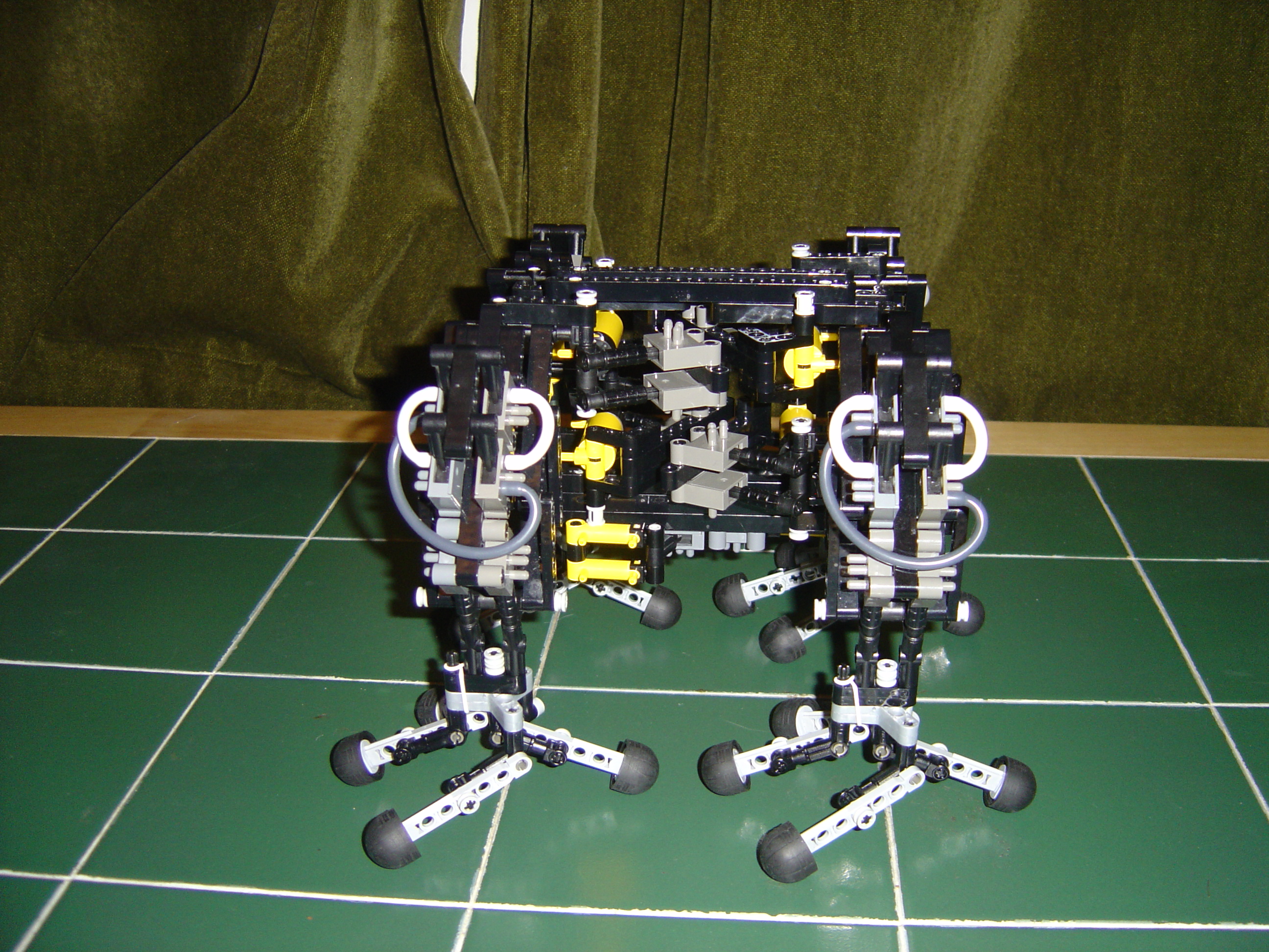 dsc00111.jpg