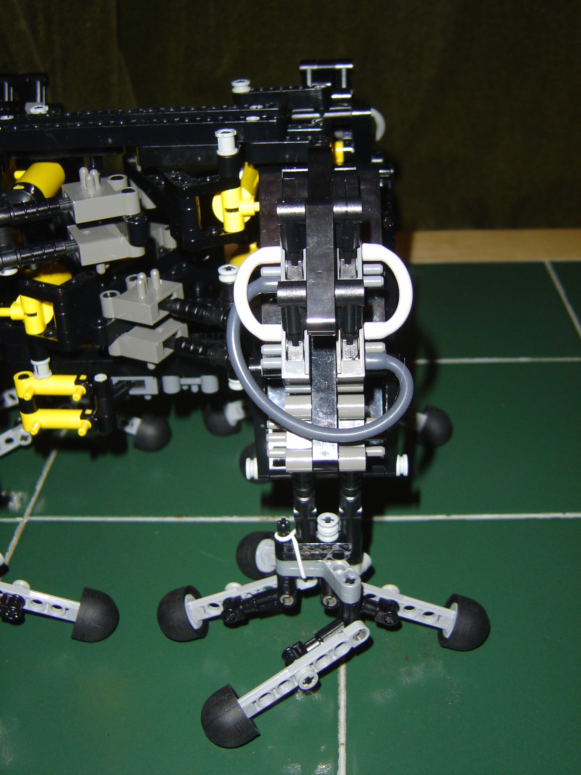 dsc00113.jpg