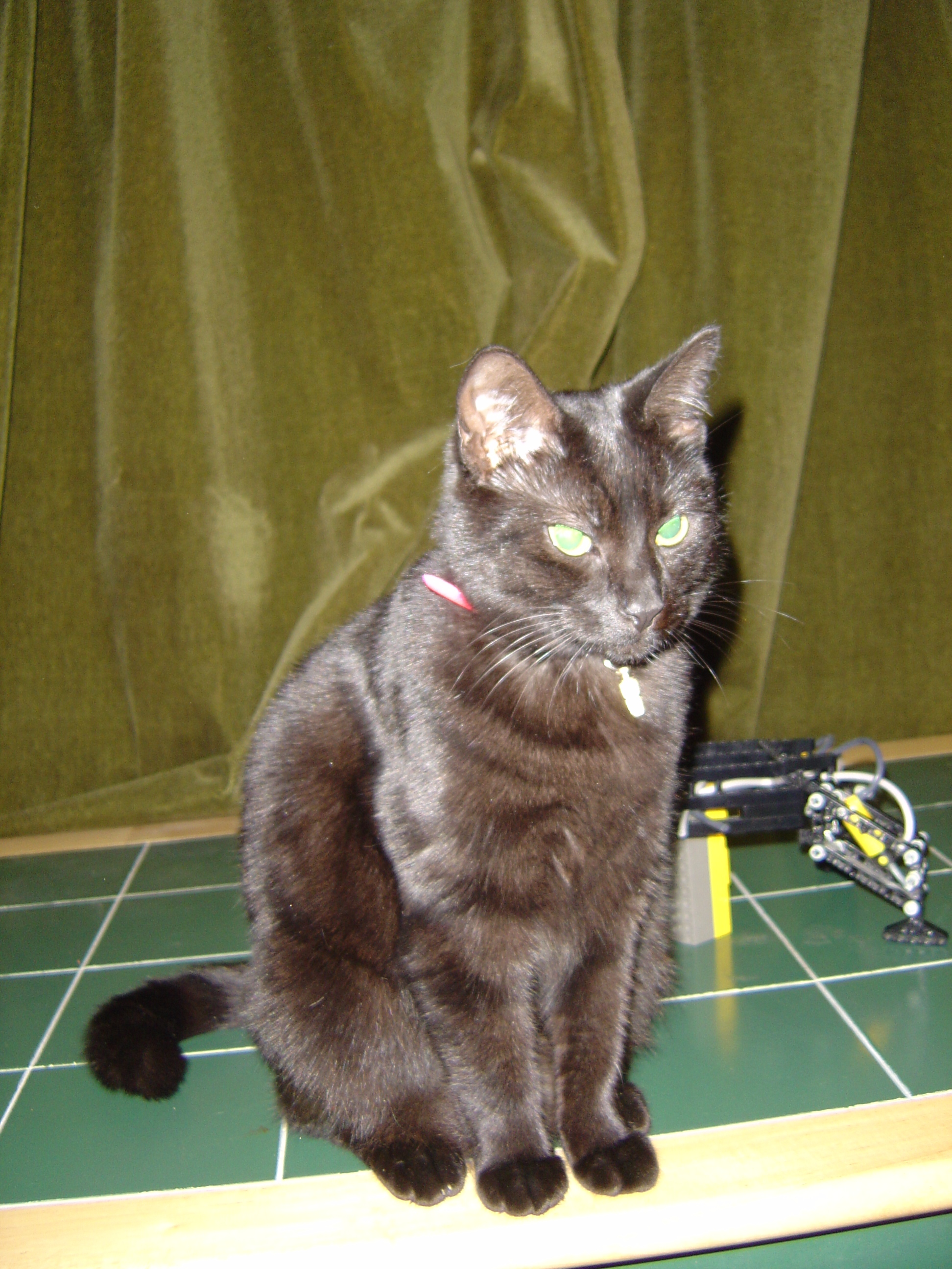 dsc00142.jpg