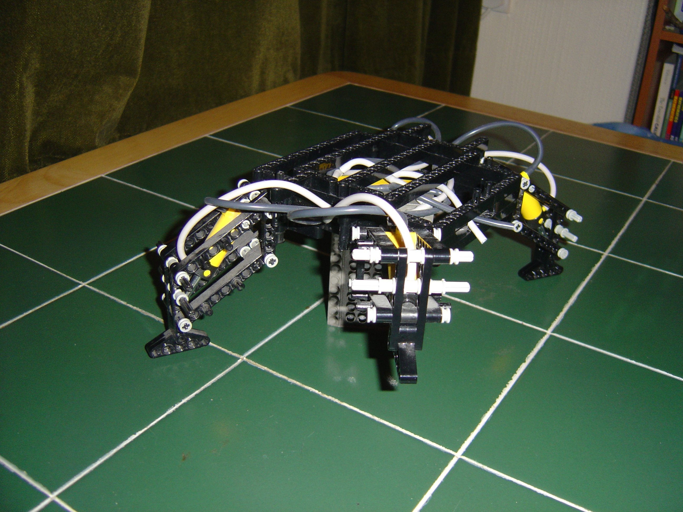 dsc00144.jpg