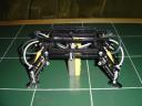 Quad-Test