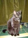 dsc00142.jpg