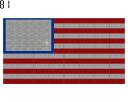 americanflag81.jpg