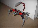 bunny_008.jpg