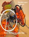 truaga_astro_jaller_2_parts.jpg
