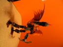 my_bionicle_015.jpg