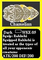 05chamelion.jpg