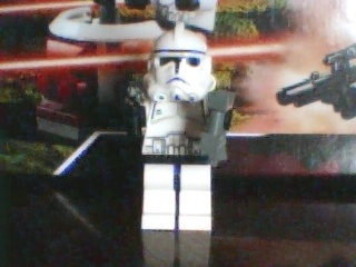 picture_13.jpg