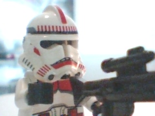 picture_25.jpg