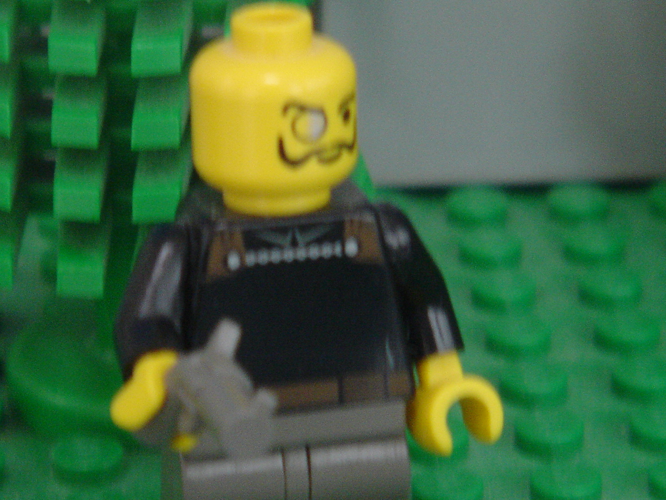 dsc06160.jpg