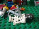 dsc06204.jpg