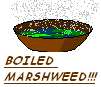 marshweed.bmp
