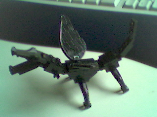 beest1.jpg