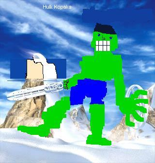 hulkkopaka.jpg