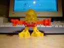 yellowkaukau.jpg