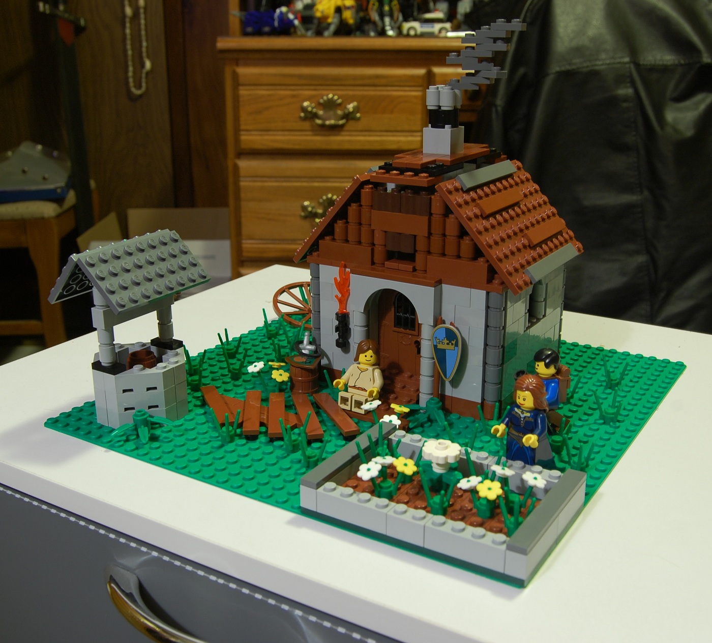 dsc_6737.jpg