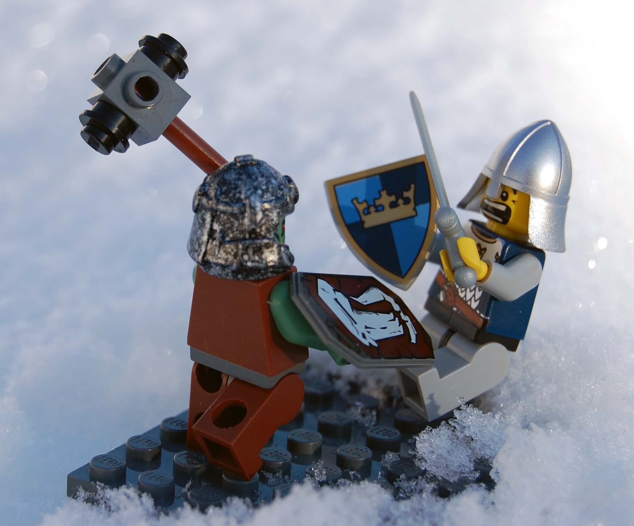 dsc_1292.jpg