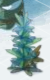 frozen_tree.png