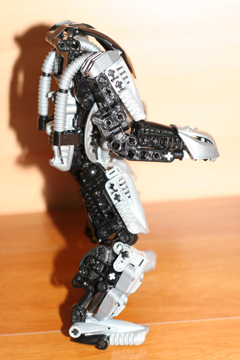 bionicles-007.jpg