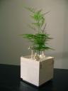 lego_planter_7.jpg