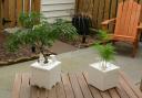 lego_planter_9.jpg