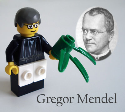 mendel.jpg