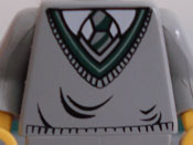 hptorso.jpg